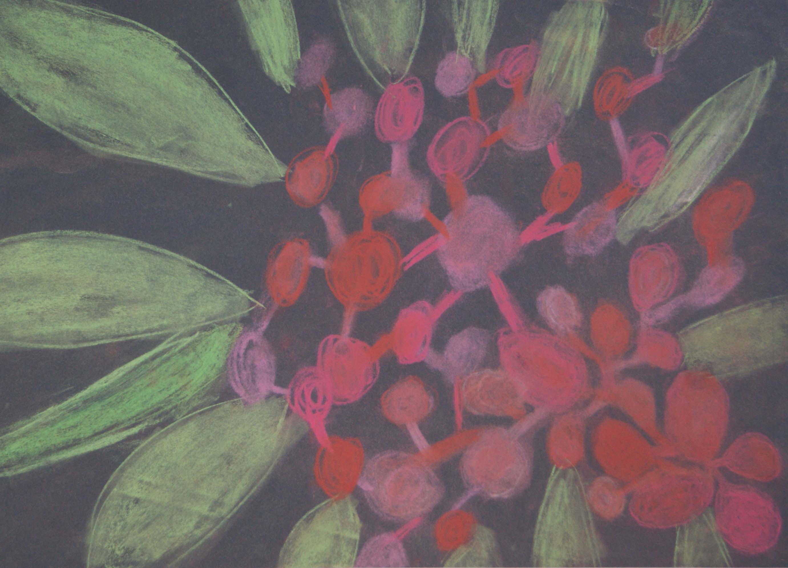 Flower Study Rendcombe College Prep Age 9